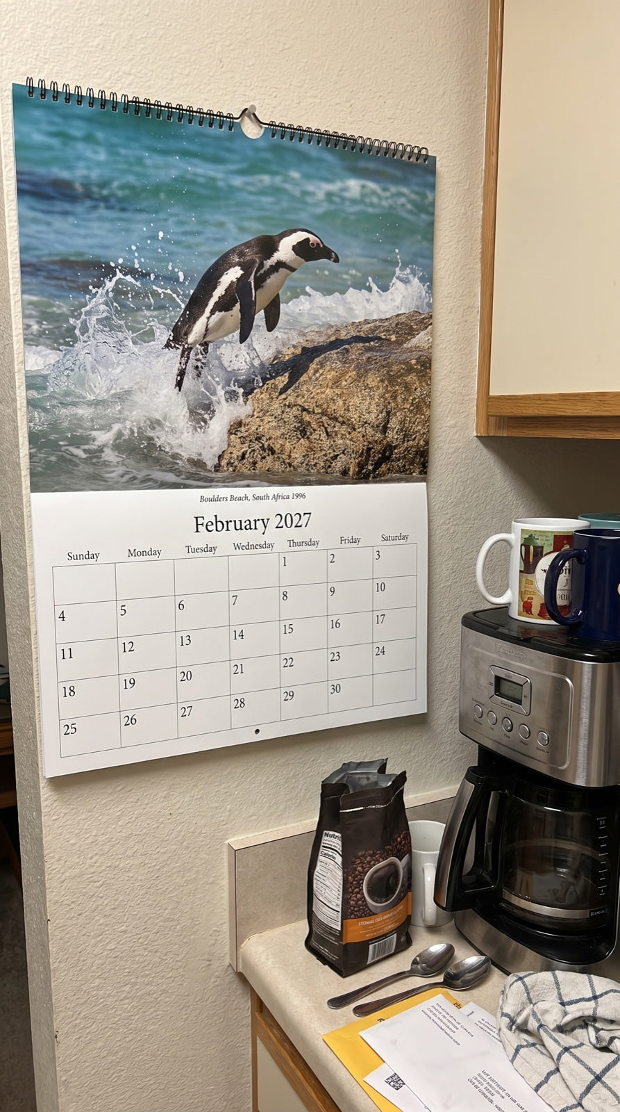 sl2-penguins-february