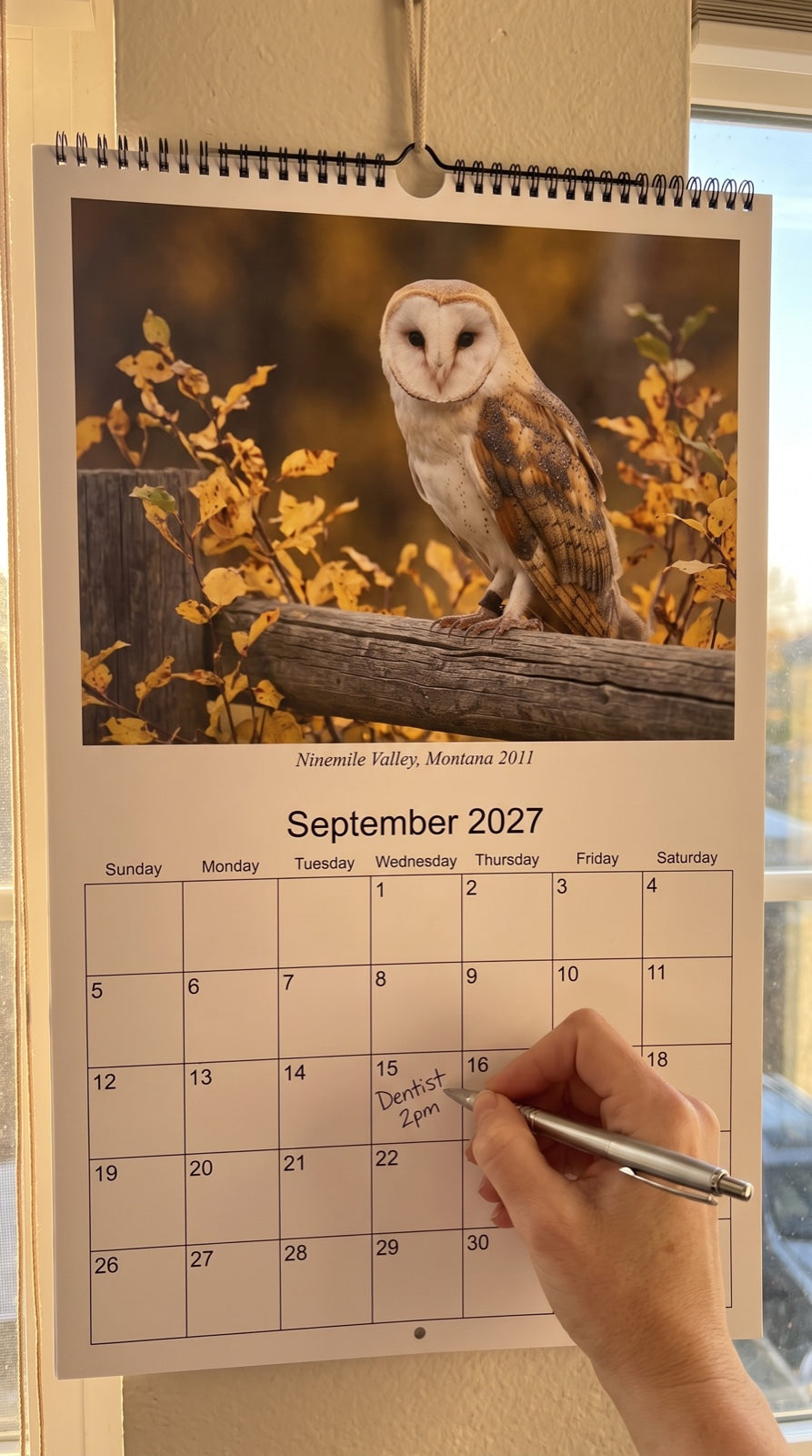 sl2-owls-september